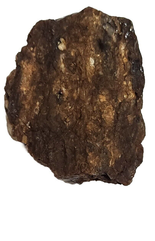 Agatized Petrified Wood Unique Specimen Rock Agate Inclusions